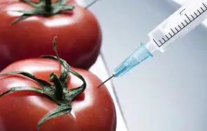 Mai puţine ţări, dar suprafeţe mai mari pentru culturile modificate genetic