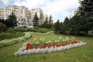 Oraşul în care se respiră cel mai curat aer din Europa se află în România!