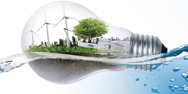 O companie este pe primul loc în producerea energiei din surse regenerabile. Câtă energie curată a produs în 2019