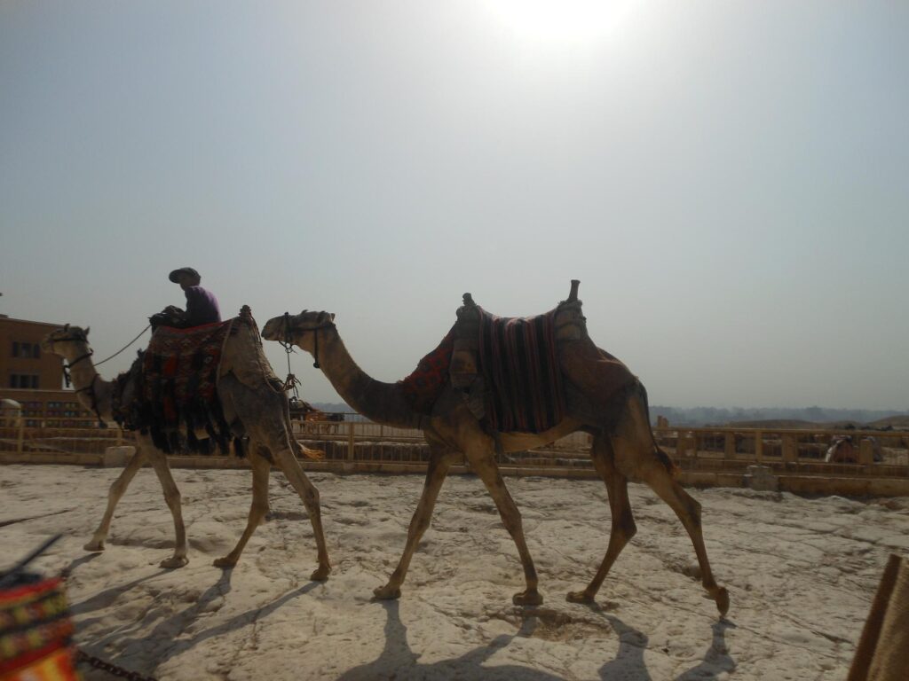 Tour-operatorii încearcă să vândă din nou Egiptul. Sunt așteptați 5.000 de turiști români în 2014