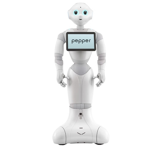 Japonezii au creat robotul care poate „citi” sentimentele umane
