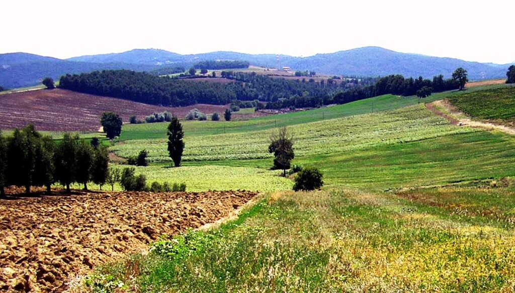 Topul parlamentarilor cu cele mai mari terenuri agricole din România: Cine este deputatul care are peste 400 de hectare de teren