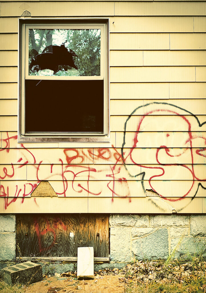 Asigurarea casei NU te apără de graffiti sau explozia cazanului cu ţuică