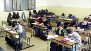 Antreprenoriatul şi orientarea profesională pot fi studiate ca materii opţionale în gimnaziu şi liceu