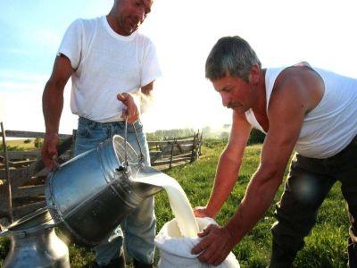Cojocaru (APRIL): Reducerea TVA la lapte va diminua comerţul cu produse nefiscalizate