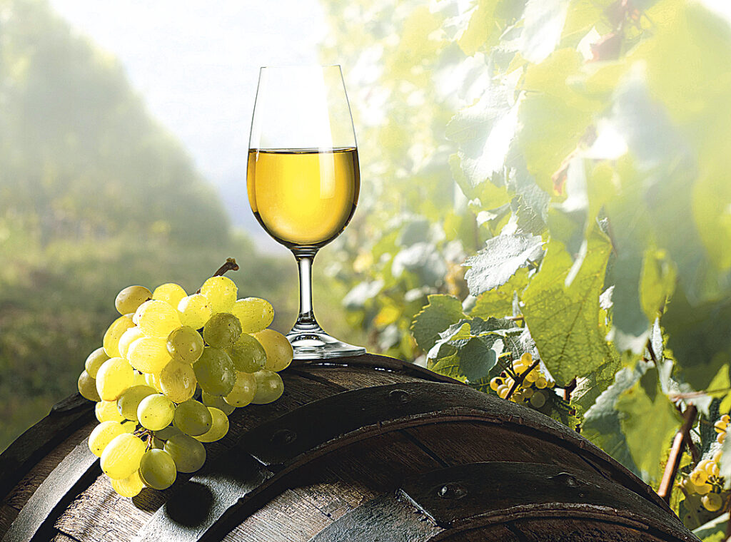 Ministerul Agriculturii, acuzat că promovează doar şase vinuri româneşti la EXPO Milano