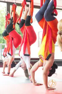 Diversitatea, asul din mâneca sălilor de sport