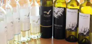 Producătorul vinurilor Liliac şi Crepuscul se pregăteşte să intre pe un nou segment de piaţă