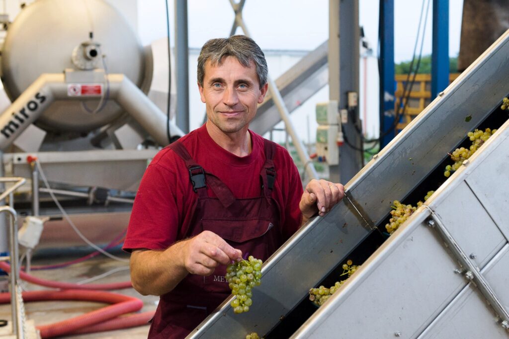 Producătorul de vin Vitis Metamorfosis a investit peste 2,8 mil. euro în prima cramă proprie