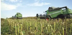 Producţia de cereale arată bine în statistici, dar nu şi în profituri
