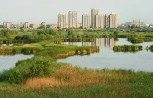 Parcul Natural Văcăreşti: Consilierii generali au ajuns la un acord de principiu