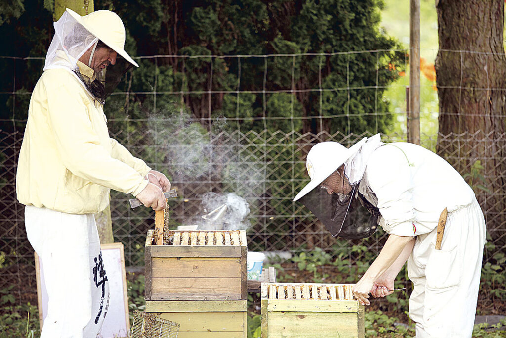 Honey no longer sweetens the beekeepers’ profits