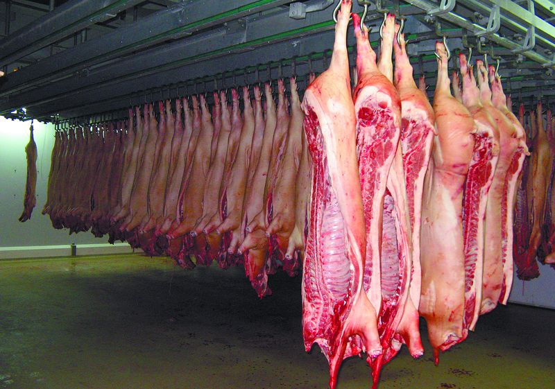 Crescatorii de porci: pierderi de 20 milioane de euro în ultimele două luni din cauza importurilor
