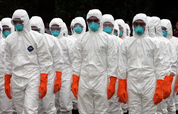 Europa este din nou înspăimântată: gripa aviară a revenit