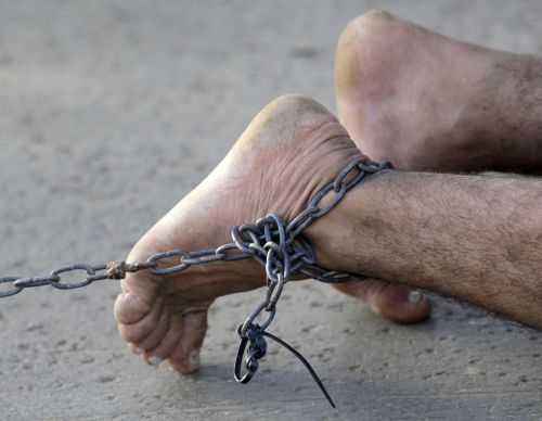 Plângere penală în Italia: Români muncind în condiţii de sclavie