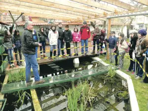 Cum îşi face loc în România agricultura viitorului