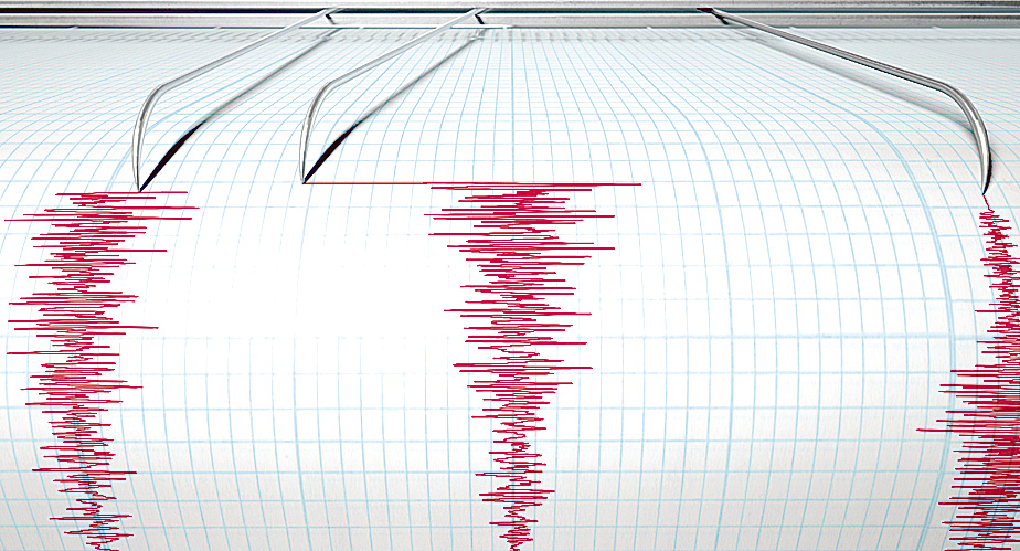 Cutremur de 4,6 grade pe scara Richter
