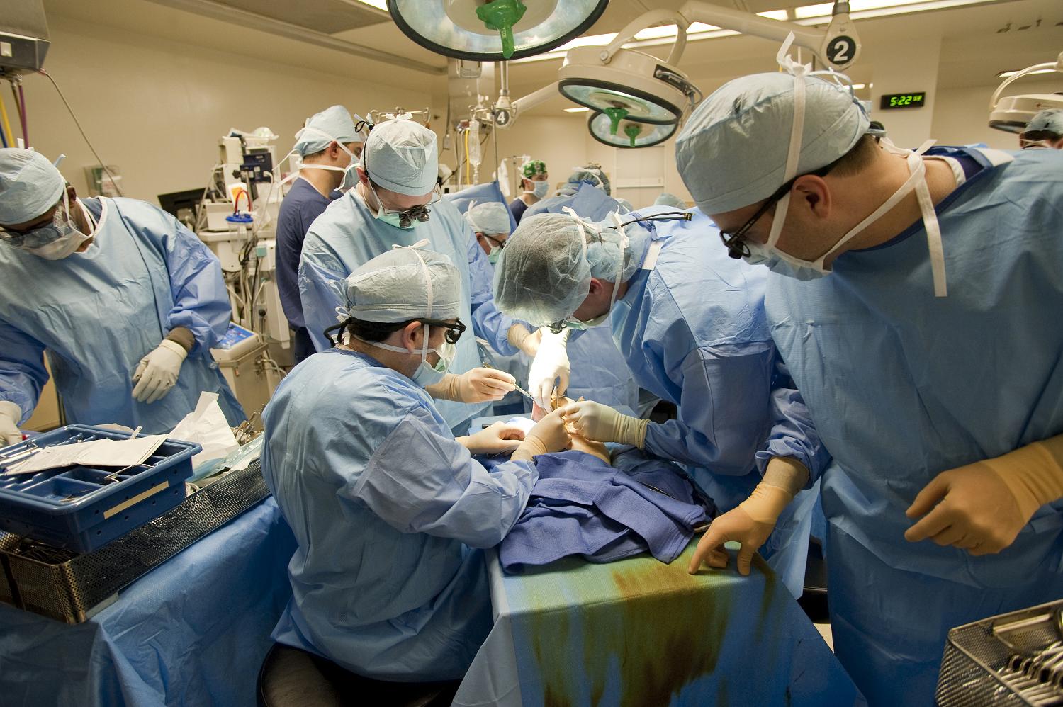 Врач трансплантолог. Элизабет Дебрю Голландия трансплантолог. Трансплантация почки фото.
