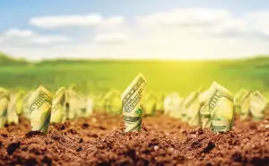 Cinci culturi agricole pentru suprafețe mici