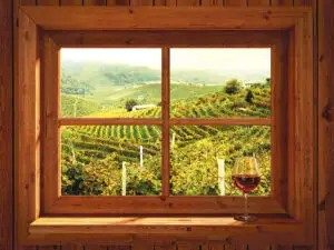 10 vinuri italienești pentru toate buzunarele