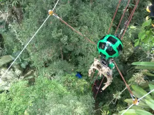 Google Street View a ajuns şi în junglă