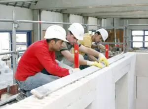 Ministrul german de Externe: „Românii merită tot respectul nostru”