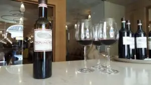 CÆSAR PETRUS Experience