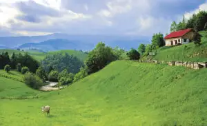 Oportunități există în turism. Oare vom profita?