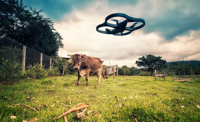Agricultura viitorului: vaci supravegheate prin intermediul dronelor şi utilaje controlate prin GPS