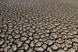 California, la cea mai mare secetă din ultima sută de ani