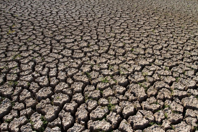 California, la cea mai mare secetă din ultima sută de ani