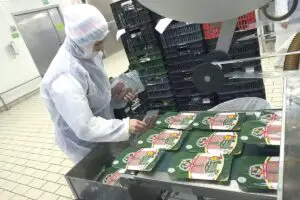 Businessul Cris-Tim: de la 12 metri pătrați la 100 milioane de euro