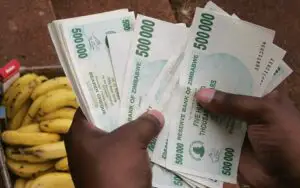 Zimbabwe scoate din circulaţie moneda naţională