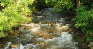 Construcţia microhidrocentralei de pe Râul Alb a fost suspendată