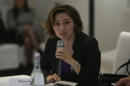 Elena M. Pavel, Manager de proiect Fonduri Europene