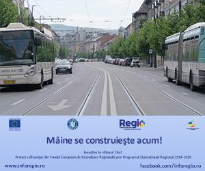 Iniţiativele Regio pentru mediul de afaceri din România (P)