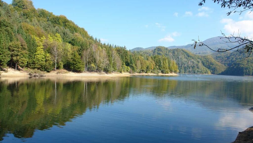 Alertă în Maramureş! Pericol de moarte într-un lac din Baia Mare. Este incredibil ce s-a găsit acolo