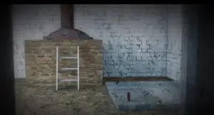 Infiorător! Cum arată camera subterană cu belciuge în podea din casa criminalului din Caracal