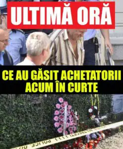 Noi descoperiri șocante în curtea lui Gheorghe Dincă! Ce ascunde o placă de beton turnată de criminal