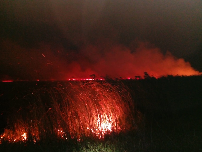 Alertă! Incendiu în Delta Dunării la Mila 23. Anunțul ISU
