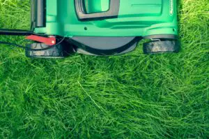 Mașina de tuns iarba, trimmerul electric sau motocoasa? Care sunt avantajele fiecăreia?