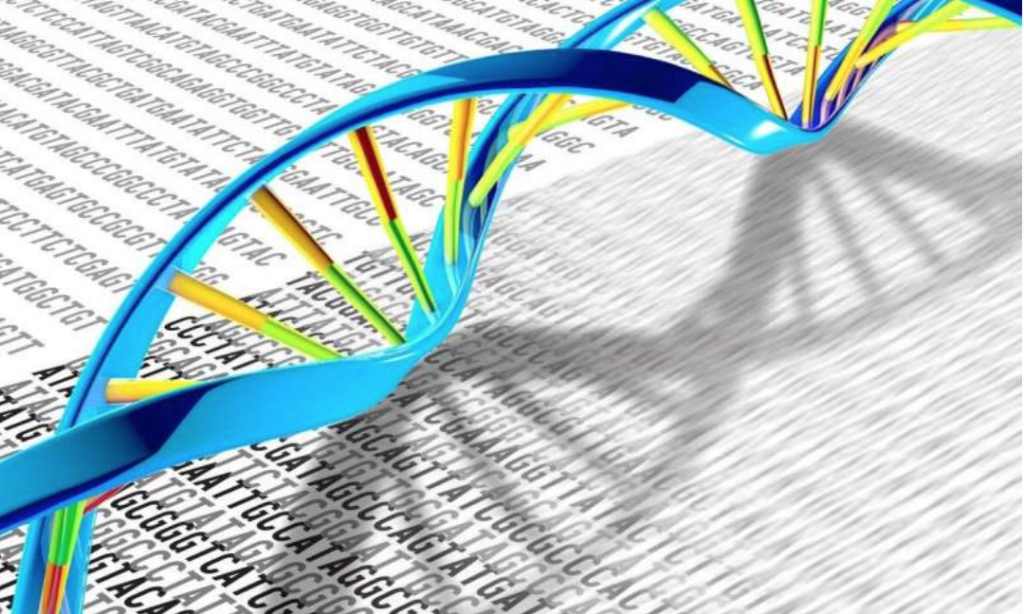 Mesaj misterios descoperit în ADN-ul uman! Originea omenirii, revelată