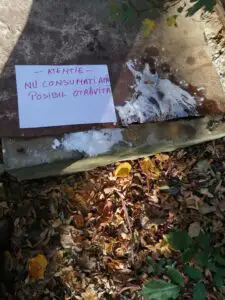 Alertă sanitară! Vestul României, năpădit de otravă! Un nou caz Timișoara identificat în Ardeal