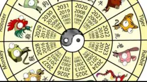 Zodiac Chinezesc. Anul Șobolanului de Metal. Ce surprize vor avea cei născuți sub acest semn în 2020