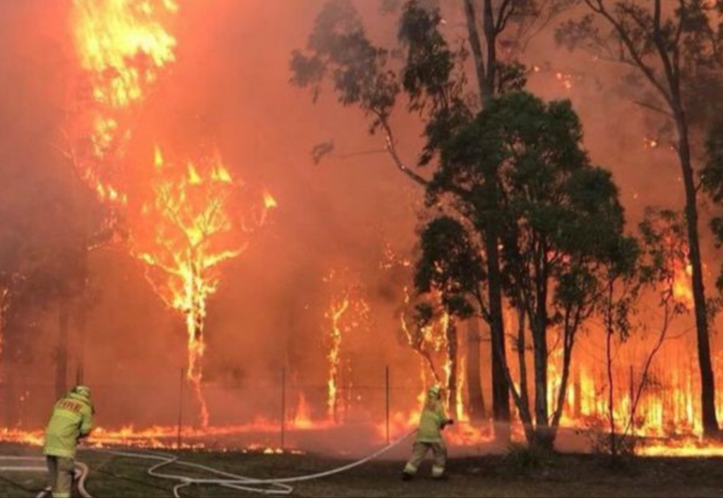 E prăpăd în Australia. Incendiile vor atinge cote alarmante