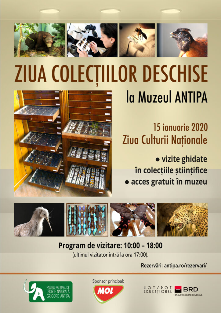 15 ianuarie – Ziua Colecțiilor Deschise la Muzeul Antipa