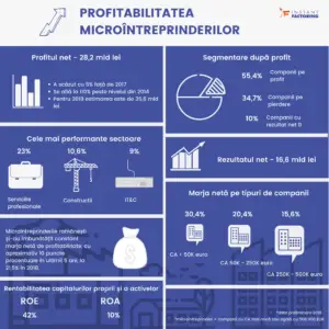 Cele mai profitabile microîntreprinderi din România! Cine a înregistrat cele mai mari câștiguri