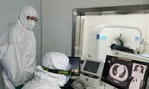 COVID-19 se adaptează continentelor! Cercetătorii avertizează că există trei tipuri de virus: chinezesc, american și european