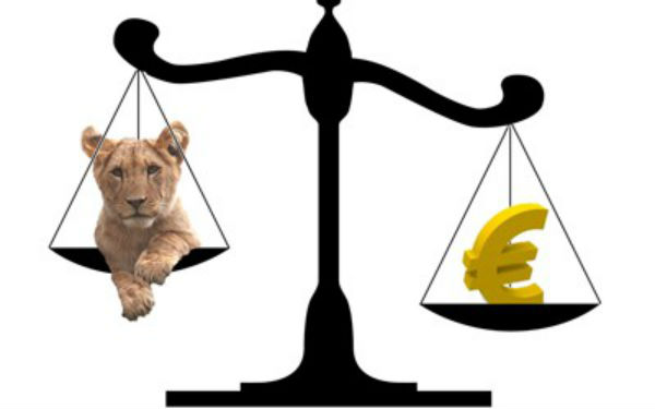 Analiștii estimează deprecieri ale leului în următoarea perioadă: Va ajunge la 4,94 Euro!