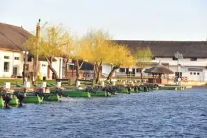 Situaţie dezastruoasă în Delta Dunării! Hotelurile şi pensiunile sunt în prag de faliment